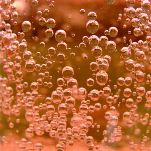 Meet your Posher, Tia - Picture 1 of 1